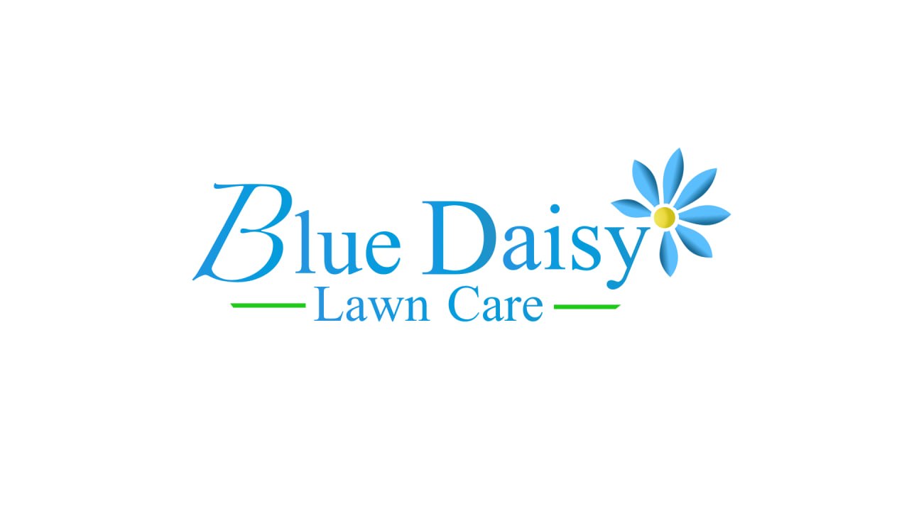Blue Daisy Lawn Care